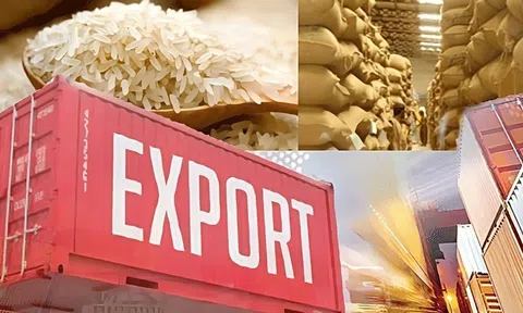 Giá gạo Nhật Bản tăng vọt, gạo Việt sẽ có cơ hội?