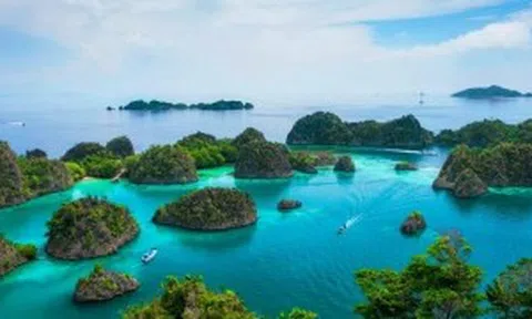 Indonesia sẽ đưa tín chỉ carbon rừng lên sàn giao dịch
