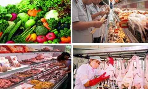 Những điểm mới trong quy định xử phạt vi phạm hành chính lĩnh vực an toàn thực phẩm