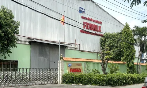 Fidimilk bị phạt hơn 242 triệu đồng