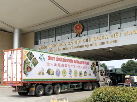 Nhập khẩu hàng hóa chính ngạch từ Trung Quốc - Con đường an toàn và bền vững